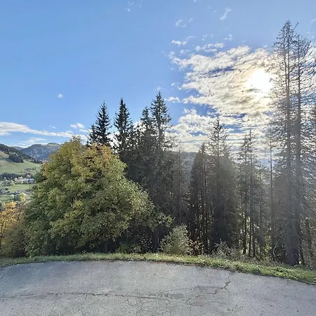 Apartment Confortable A Avec Parking Et Acces Facile Aux Pistes - Fr-1-595-35